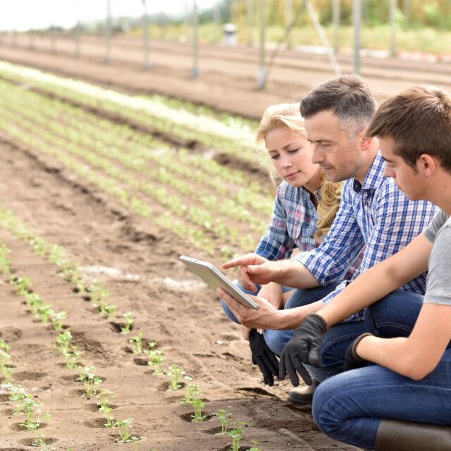 Formez-vous en agriculture durable