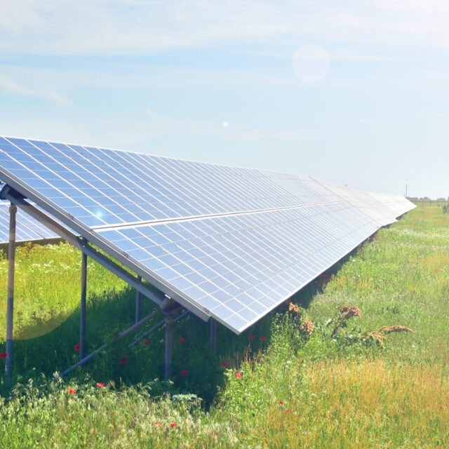 Investissez dans l'agrivoltaisme