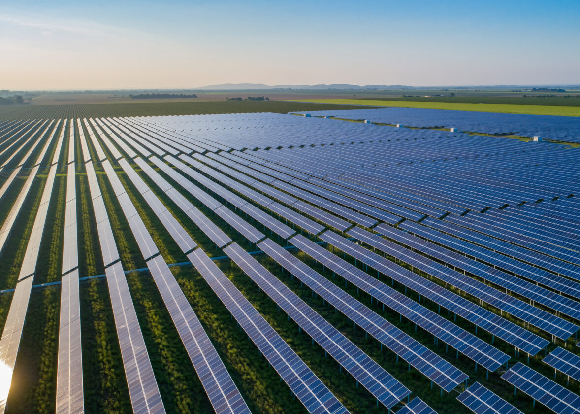 Le suivi agronomique des installations agrivoltaïques