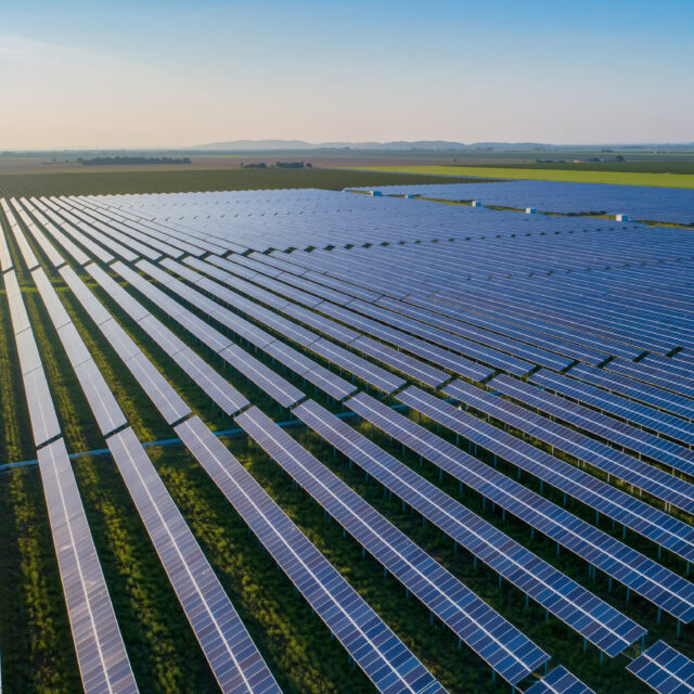 Le suivi agronomique des installations agrivoltaïques