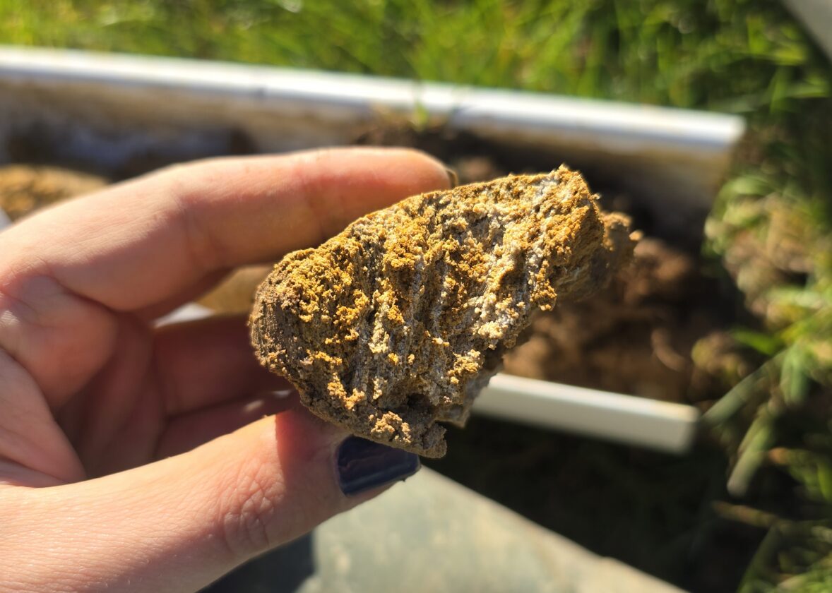 Zone humide agrivoltaïsme : un projet est-il bloqué ?
